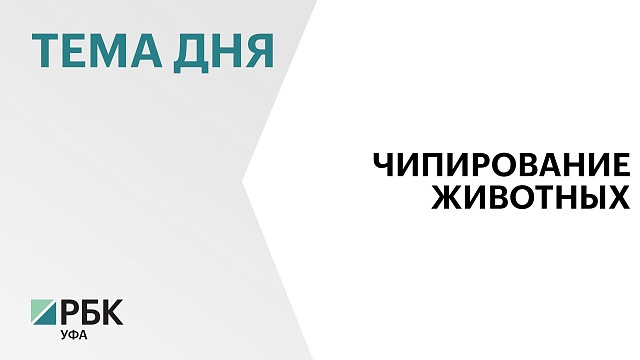 В Башкортостане назрела необходимость решить вопрос с чипированием сельскохозяйственных животных