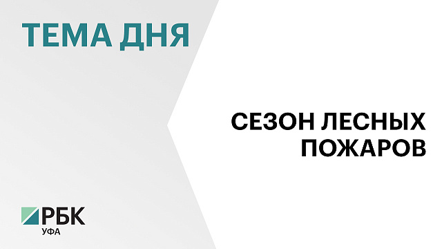  С начала года в Башкортостане возникло 14 очагов лесных пожаров на площади более 29 га