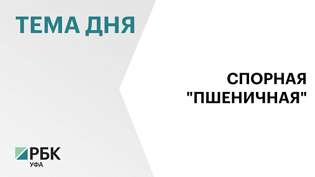 Национальная дистрибьюторская компания подала новый иск к «Башспирту» почти на ₽73 млн