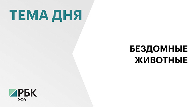 В Башкортостане увеличат субвенции городам и районам на отлов бездомных животных