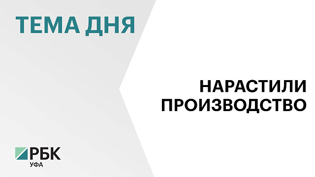 В 2024 г. в Башкортостане произвели сельхозпродукции на ₽250 млрд