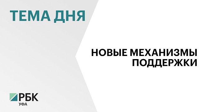 С начала 2024 г. малый и средний бизнес Башкортостана поддержали на ₽2,5 млрд