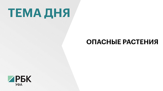 В Башкортостане создадут перечень опасных растений и обяжут землевладельцев уничтожать их