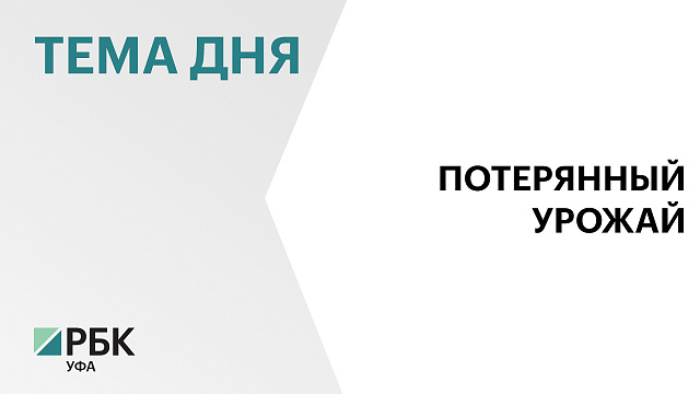 В Башкортостане пересмотрят иск на ₽47 млн к компании «Раевсахар» от фермера за потерянный в 2024 г. урожай