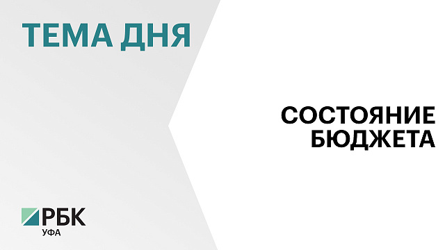 Госдолг Башкортостана за месяц вырос почти на ₽47 млн и превысил ₽73 млрд 