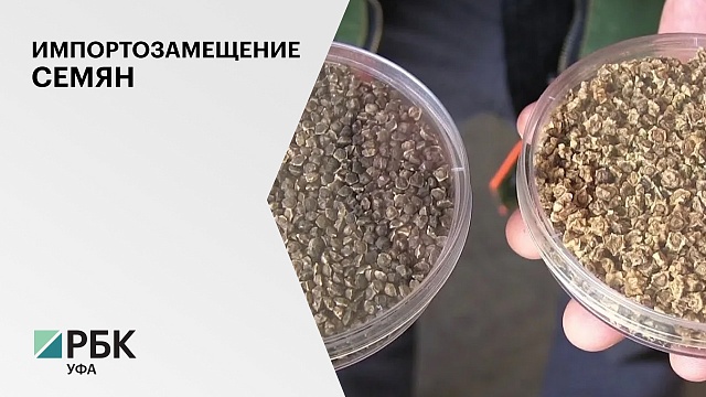 "СоюзСемСвёкла" планирует нарастить долю на рынке семян с 10 до 75%