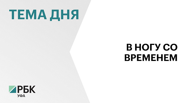 ашкортостан и Казахстан будут сотрудничать в сфере цифровизации, развития нейросетей