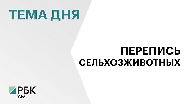 В Башкортостане почти всё поголовье сельхозживотных включили в единую федеральную систему учета