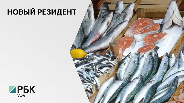 В ОЭЗ "Алга" инвестор создаст производство по выращиванию и глубокой переработке рыбы