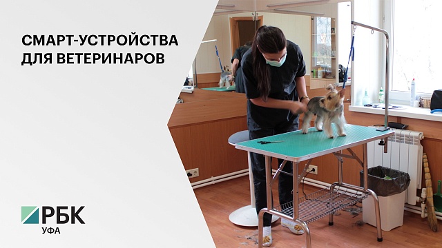 К 2021 году участковые ветеринары РБ получат новое оборудование на 20 млн руб.