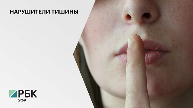 В Башкортостане станут активнее привлекать к ответственности нарушителей закона о тишине и покое