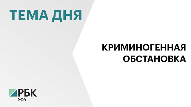 Более 1 тыс. экономических преступлений пресекли сотрудники полиции в Уфе в 2024 г.