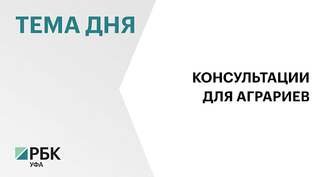 60 тыс. консультаций по мерам господдержки получили аграрии Башкортостана в I полугодии 2025 г. 