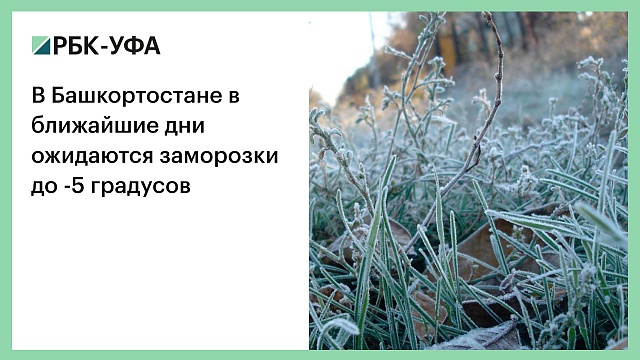 В Башкортостане в ближайшие дни ожидаются заморозки до -5 градусов