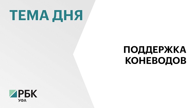 ₽300 млн грантов выиграли коневоды РБ за пять лет по итогам участия в федеральных программах