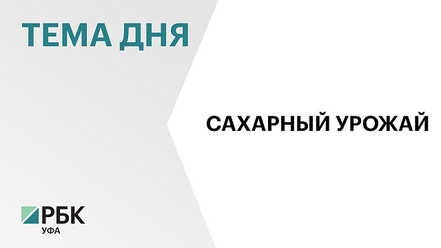 В Башкортостане на 13% увеличилось  производство сахара, до 143 тысячи тонн