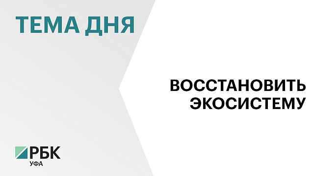 18 тыс. мальков стерляди выпустили в Белую около деревни Новобурново в Бирском районе