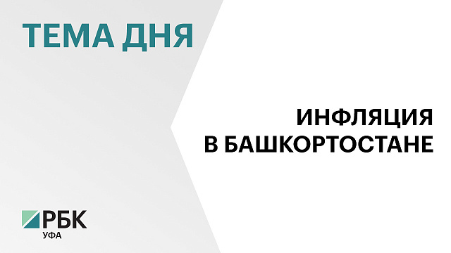 Годовая инфляция в Башкортостане составила 8,6%