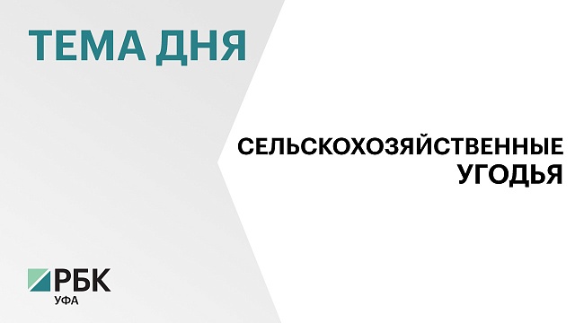 Площадь сельхозугодий в Башкортостане составляет 6,19 млн га