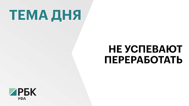 В Башкортостане на 13% сократят площадь посевов сахарной свёклы, до 50 тыс. га в 2025 г. 