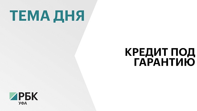 Малый и средний бизнес в Башкортостане в первом полугодии привлёк ₽2,8 млрд кредитов с госгарантиями