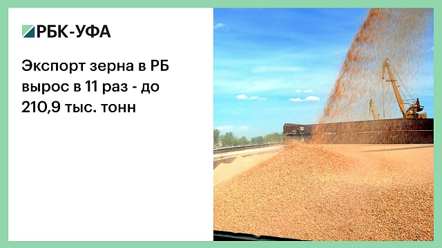 Экспорт зерна в РБ вырос в 11 раз - до 210,9 тыс. тонн