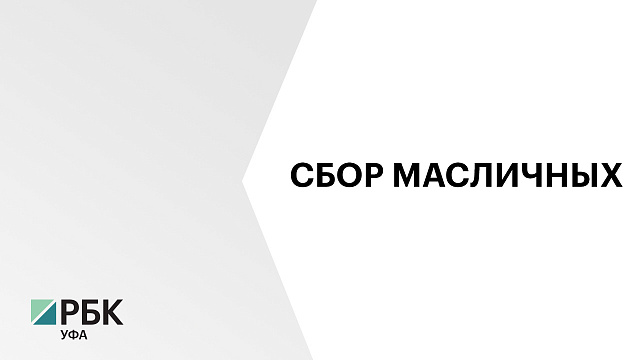 Более полумиллиона тонн маслосемян подсолнечника собрали в Башкортостане