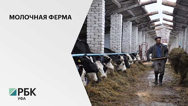 В Кушнаренковском районе построят роботизированную молочную ферму на 200 коров за 120 млн руб.