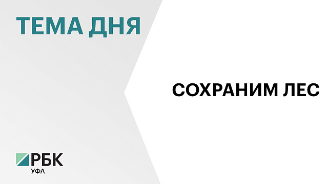 Более 1,5 млн саженцев деревьев высадили в Башкортостане в ходе всероссийской акции «Сохраним лес»