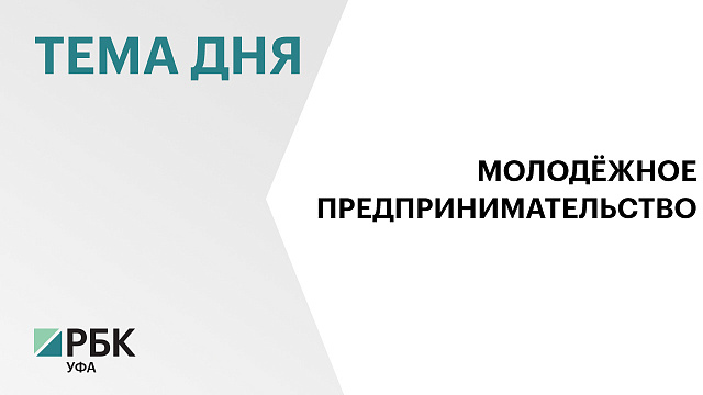 Более 90 молодых предпринимателей Башкортостана встретились с депутатами Госдумы и членами правительства республики