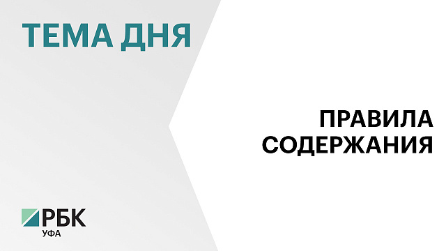 В 2024 г. в ЦУР Башкортостана поступило 2,5 тыс. жалоб на укусы животных