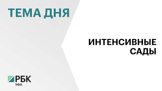 Власти Башкортостана выделили инвестору 711 га земли под крупнейшую в России плантацию облепихи