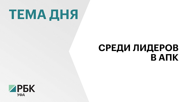 Объём валовой продукции сельского хозяйства в Башкортостане в 2025 г. достиг ₽290,5 млрд