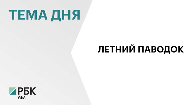 В Башкортостане из-за сильных ливней поднялся уровень воды в реках, есть подтопления придомовых участков