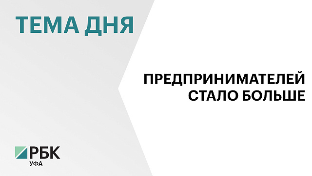 Число субъектов МСП в Башкортостане за год выросло на 6,4%