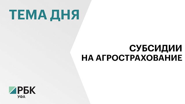 Объем субсидирования агрострахования в Башкортостане в 2024 г. превысил ₽240 млн