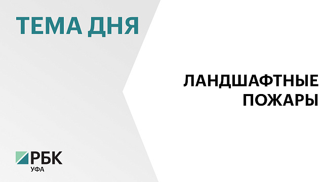 С начала года в лесах Башкортостана зарегистрировано 10 возгораний на площади 26,5 га