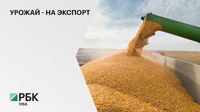 374,5 тонны семян отправлены за неделю 2022 г. в Латвию, ещё 140 тонн -  в Казахстан