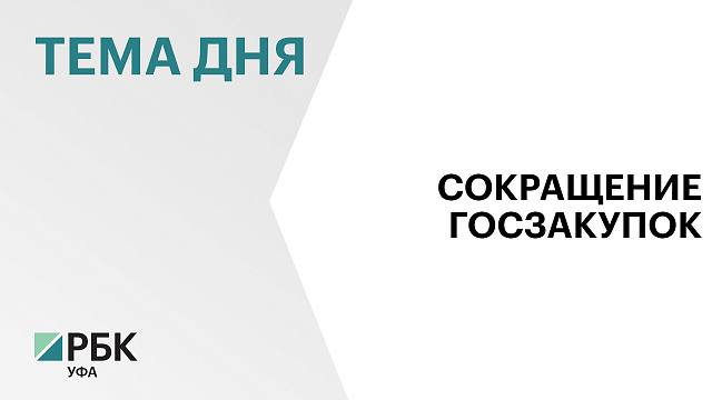 Объём закупок госкомпаний в Башкортостане упал вдвое
