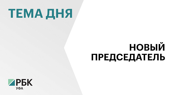 Новым председателем Общественной палаты Башкортостана стала Энже Ахмадуллина