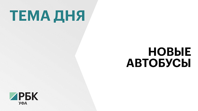Минтранс Башкортостана выбрал поставщика автобусов за ₽1 млрд