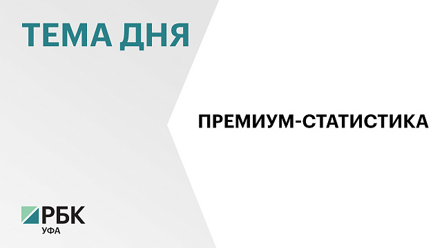 В Башкортостане количество премиальных автомобилей за 2024 г. увеличилось на 41,5%, до 371