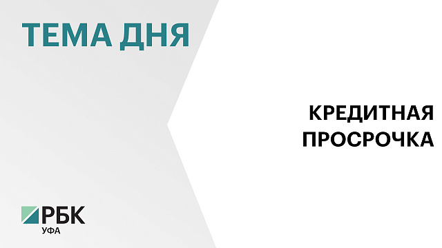 В Башкортостане доля просроченных кредитов в рознице достигла 14,5%