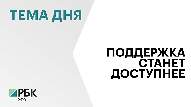 В Башкортостане упростят процедуру выделения дров для семей участников СВО