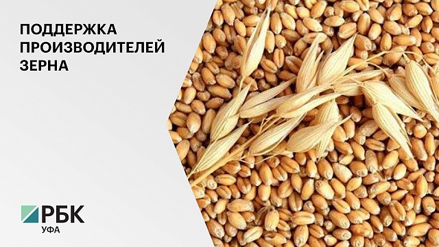 Башкирские аграрии смогут получить по ₽740 за каждую тонну выращенного и проданного зерна