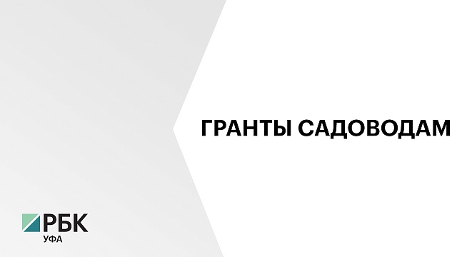 Количество ежегодных грантов для садовых некоммерческих товариществ с 2025 г. увеличат вдвое - с 10 до 20