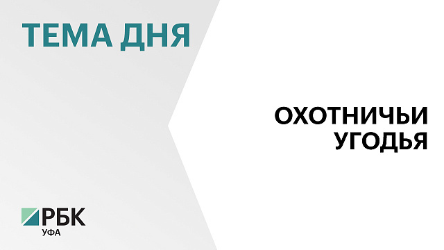 С 2025 года в Башкортостане охотничьи билеты выдаются в электронной форме