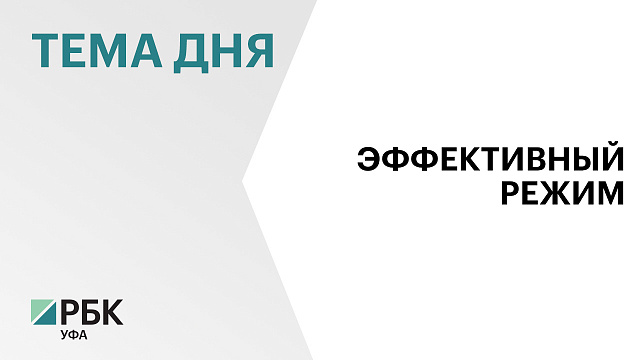 ₽650 млн поступило в бюджет Башкортостана по автоУСН в 2026 г.