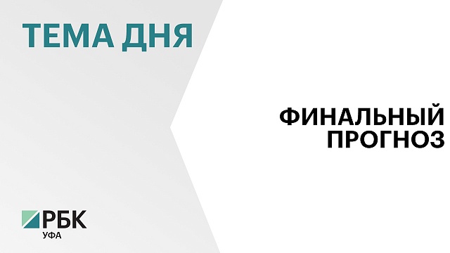 Декларируемая явка на выборы главы региона в Башкортостане составляет 59%