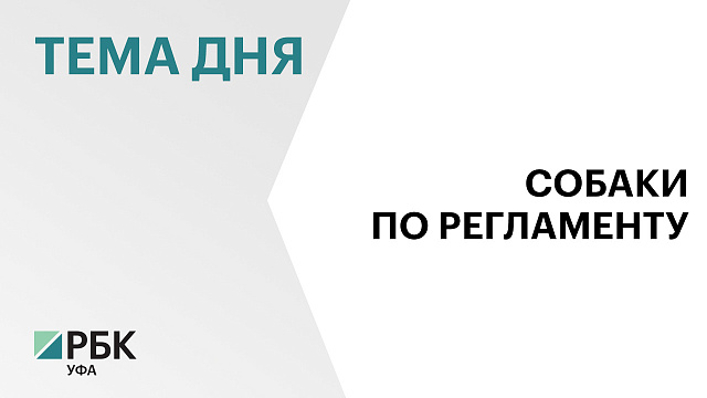 В Башкортостане могут ужесточить меры по отношению к потенциально опасным собакам